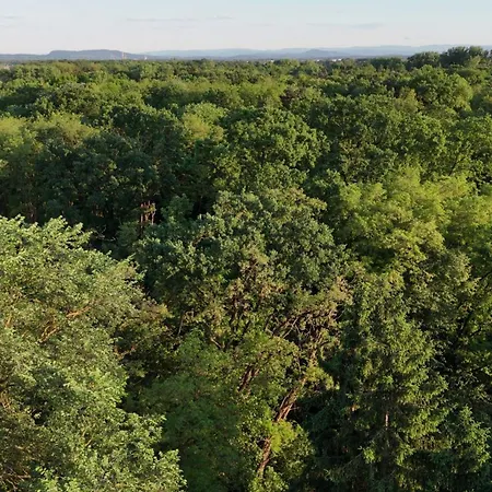 - Bring Dein Zelt Oder Und Erlebe Unseren Verein! Camping