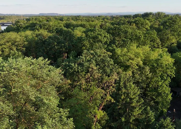 - Bring Dein Zelt Oder Und Erlebe Unseren Verein! مكان تخييم